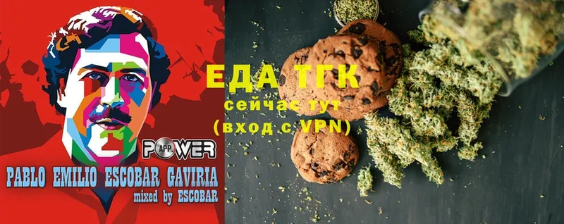 Canna-Cookies конопля  купить наркоту  Катайск 