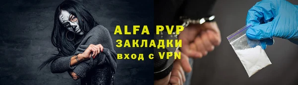 apvp Вяземский