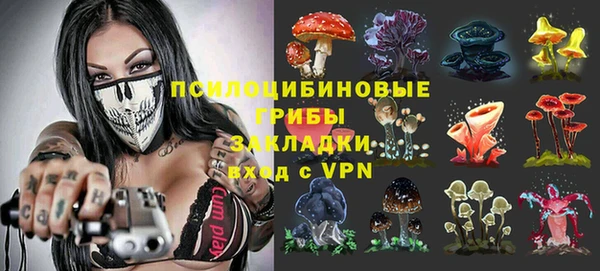 apvp Вяземский